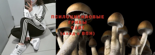 соль курить ск Переславль-Залесский