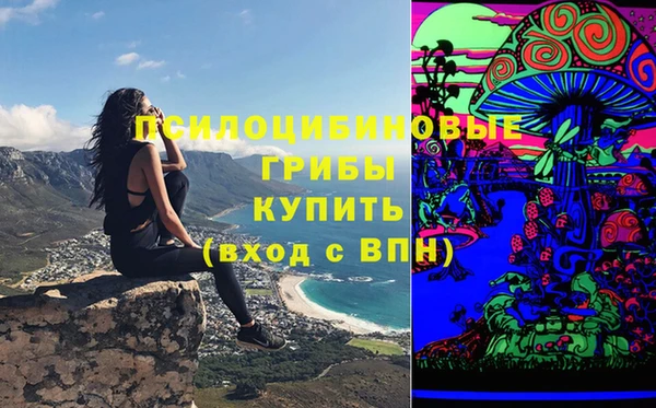 прущая мука Пестово