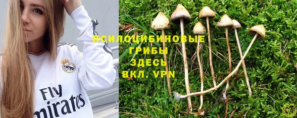 прущая мука Пестово