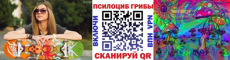 Псилоцибиновые грибы прущие грибы  Торопец 